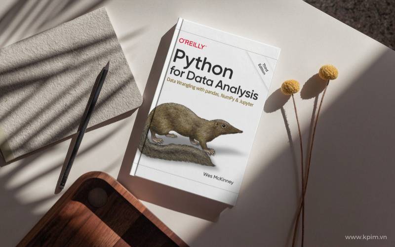Python for Data Analysis 